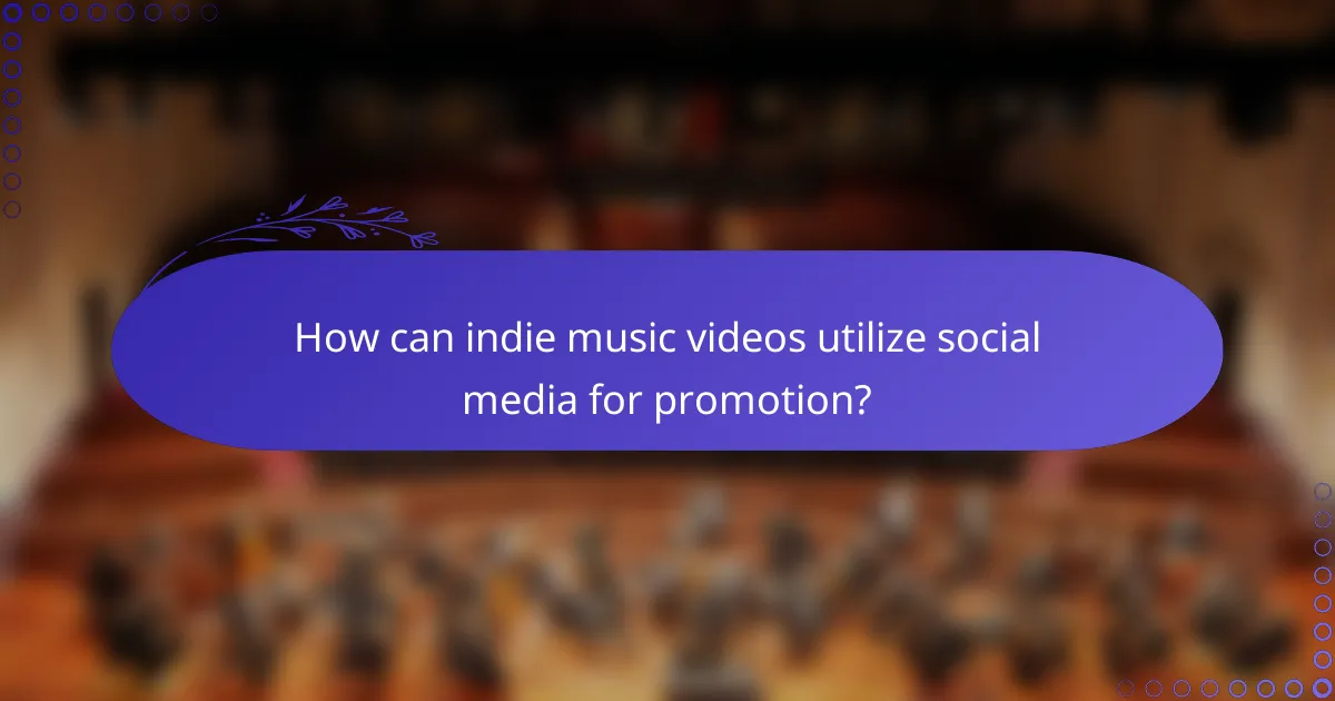 How can indie music videos utilize social media for promotion?