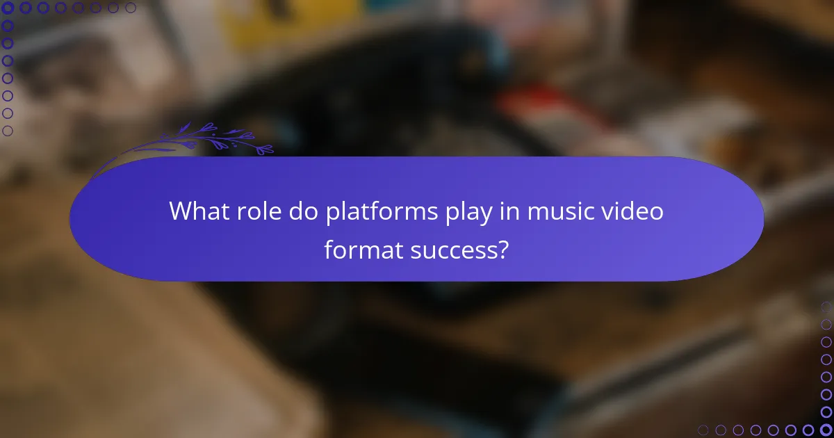 What role do platforms play in music video format success?